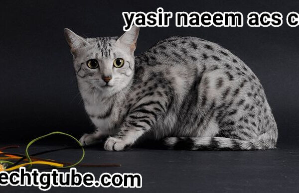 yasir naeem acs cat